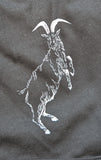 The VVitch shorts