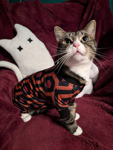 Haunted Hotel pyjamas for Pets